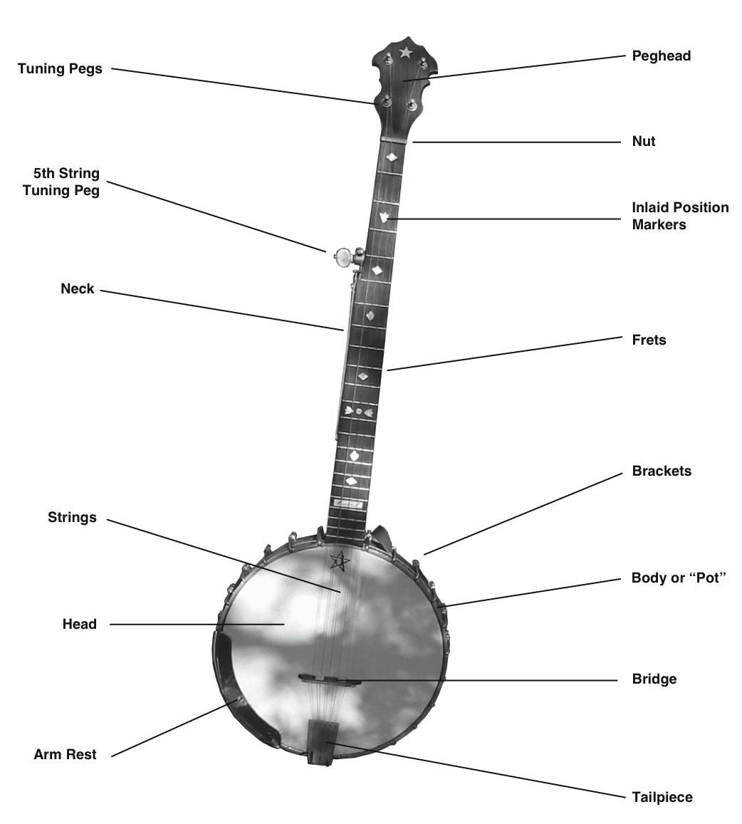 banjo parts illustration