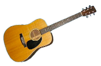 typical bluegrass style dreadnaught or D model guitar